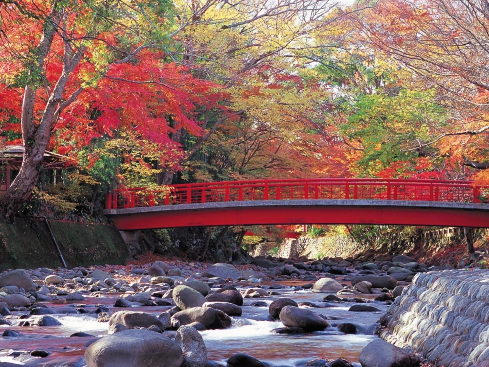 Shuzenji Onsen Hotel Takitei Ідзу Екстер'єр фото