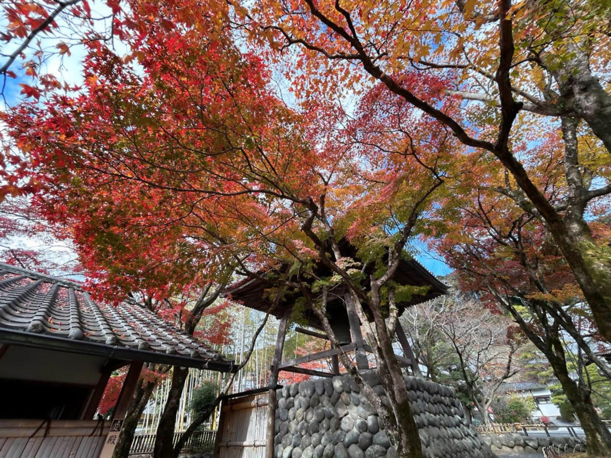Shuzenji Onsen Hotel Takitei Ідзу Екстер'єр фото