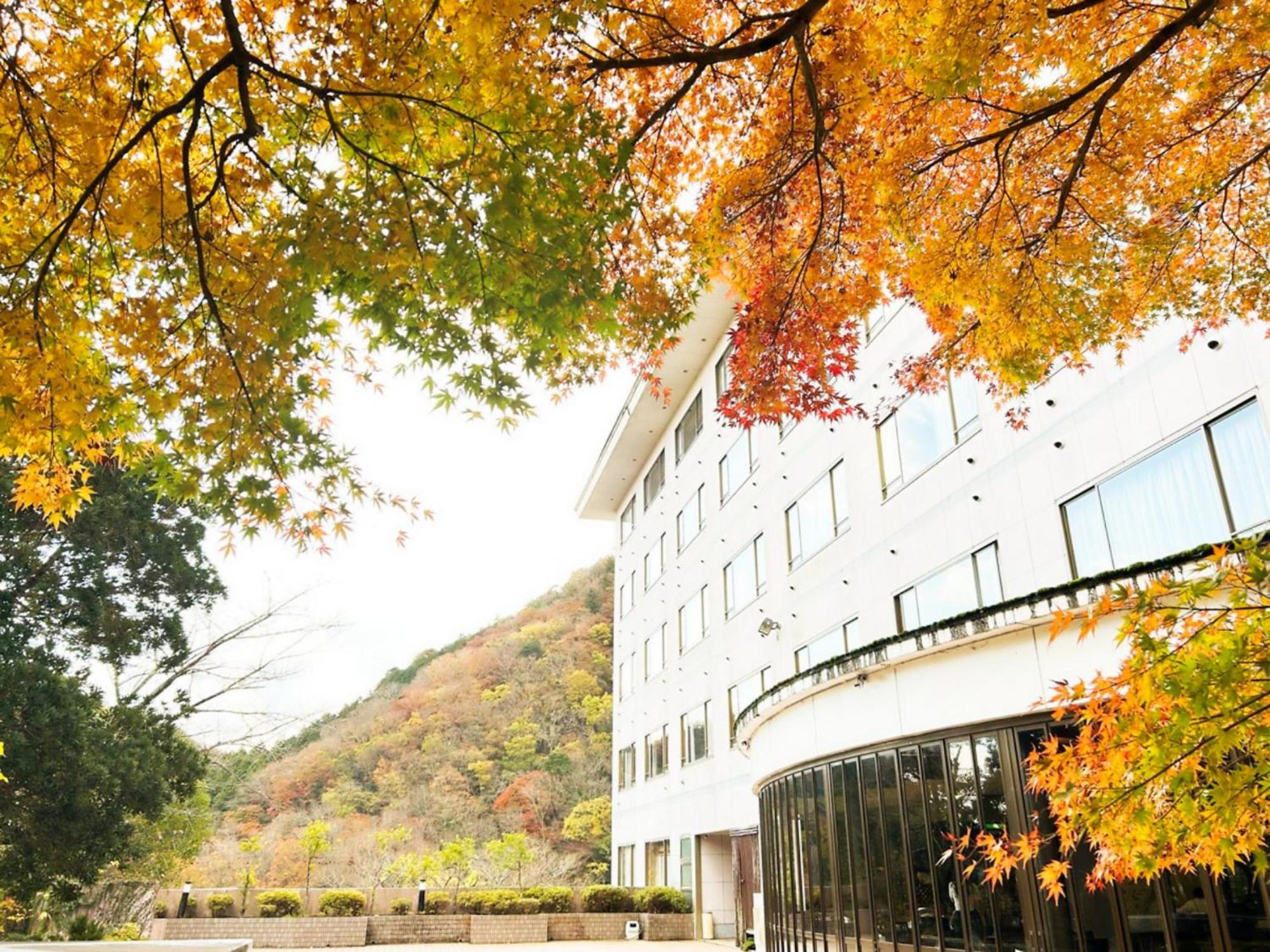 Shuzenji Onsen Hotel Takitei Ідзу Екстер'єр фото